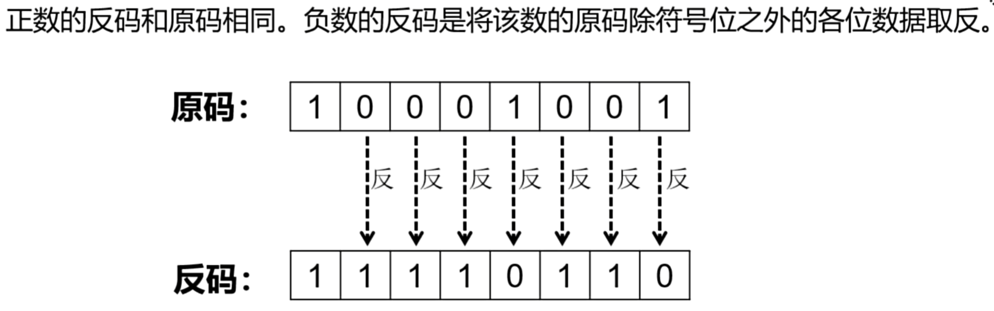 01二进制数的考察